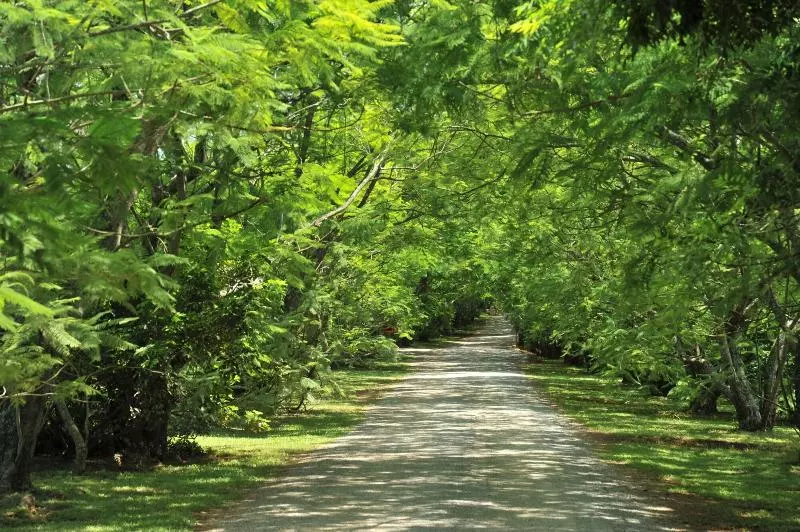 هتل Summerfield Luxury Resort & Botanical Garden