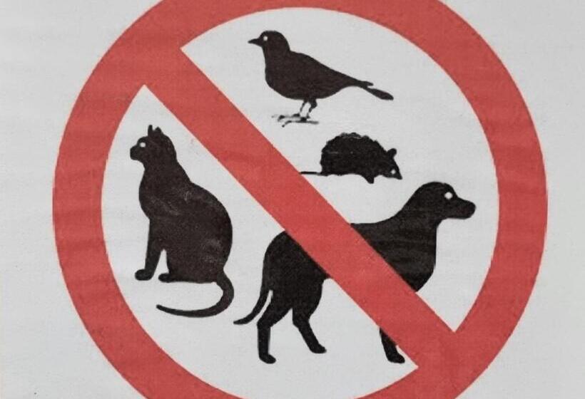 مبيت وإفطار Le Catogne