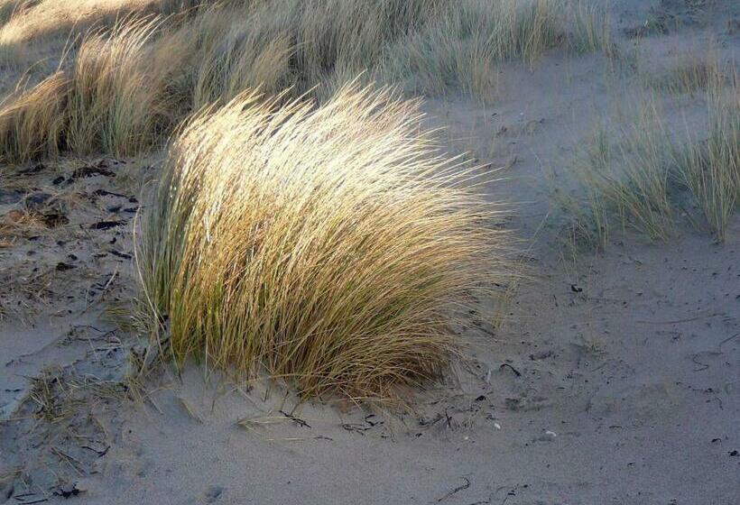 酒店 Garni Villa Ostseegruss Obje