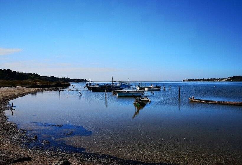 膳宿费 La Maison Verte Sete