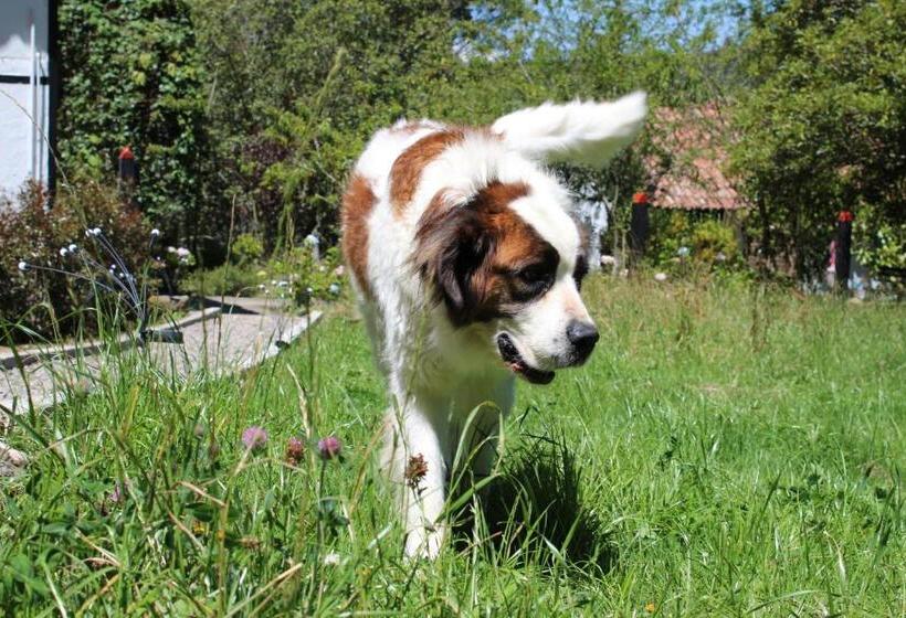 Pansiyon El Hostel Granjero