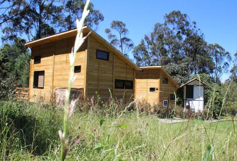 Pansiyon El Hostel Granjero