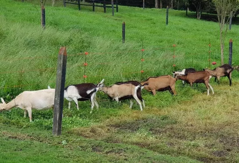 Majatalo El Hostel Granjero