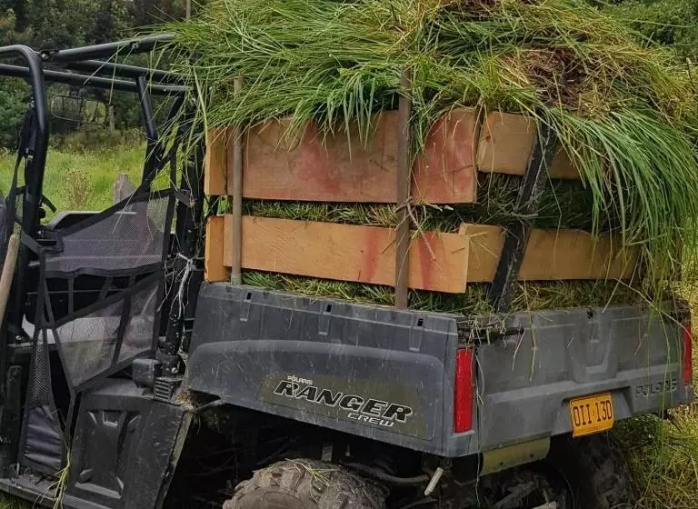 Majatalo El Hostel Granjero