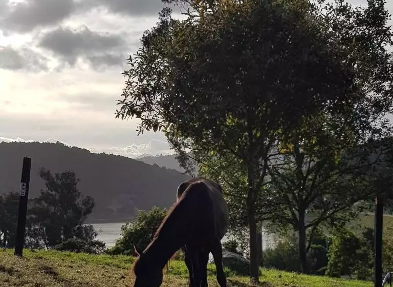 Majatalo El Hostel Granjero