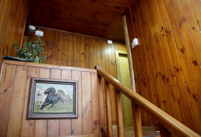 ペンション Si Po Hostel