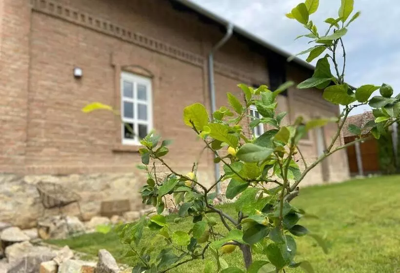 Aamiaismajoitus (B&B) Magtár Villa