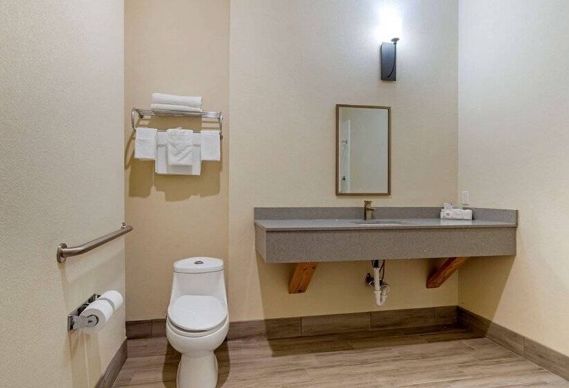 ホテル Quality Inn & Suites