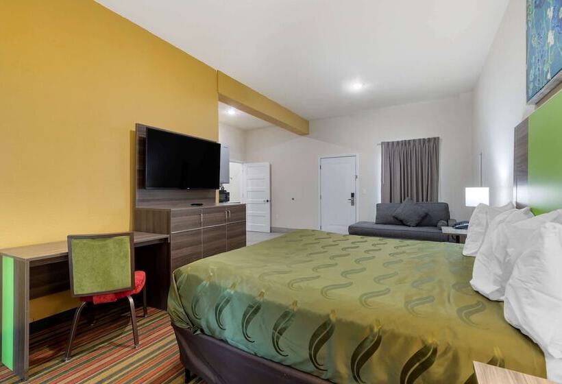 ホテル Quality Inn & Suites