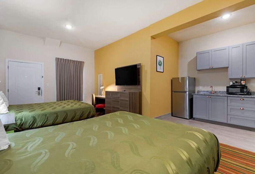 ホテル Quality Inn & Suites