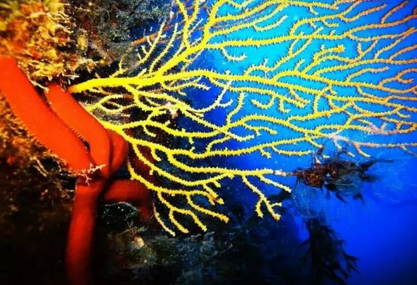 Isoladino B&b Sweet Home