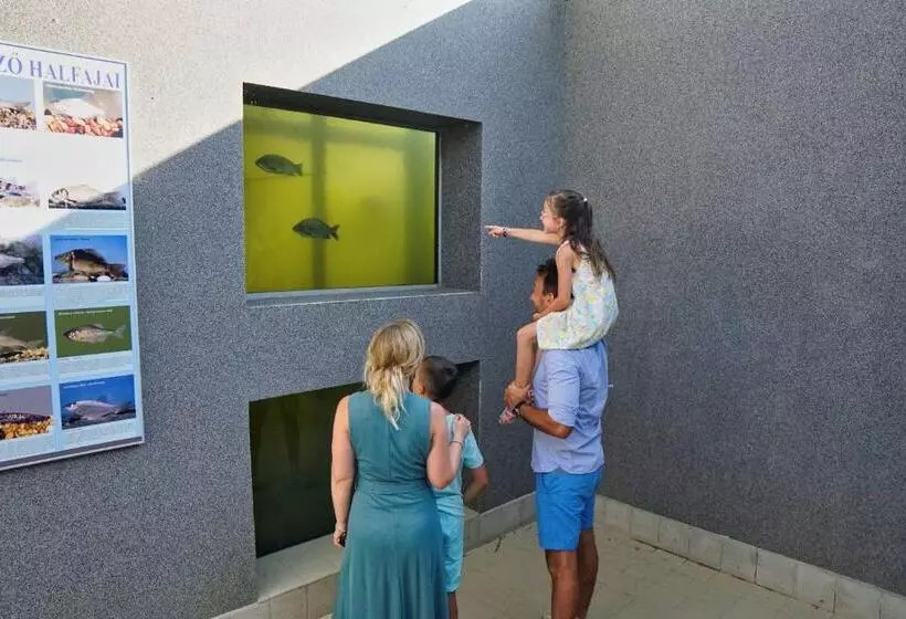 Tisza Tó Apartmanpark