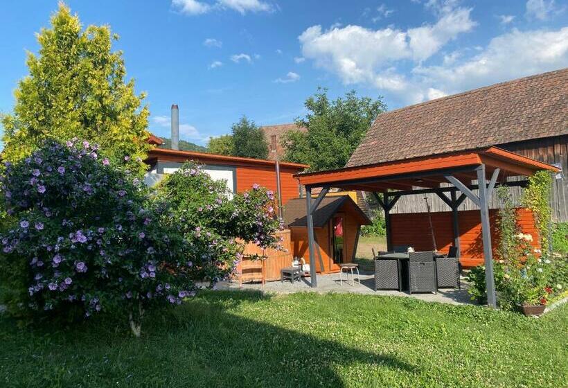 Pensão Casa De Oaspeti Anciupi Vendeghaz