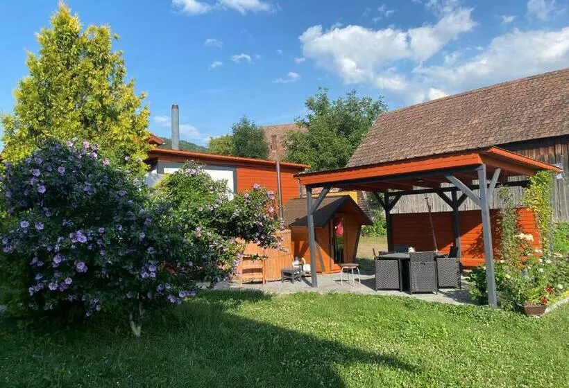پانسیون Casa De Oaspeti Anciupi Vendeghaz