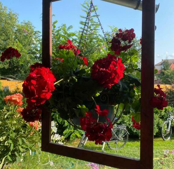 Pensão Casa De Oaspeti Anciupi Vendeghaz