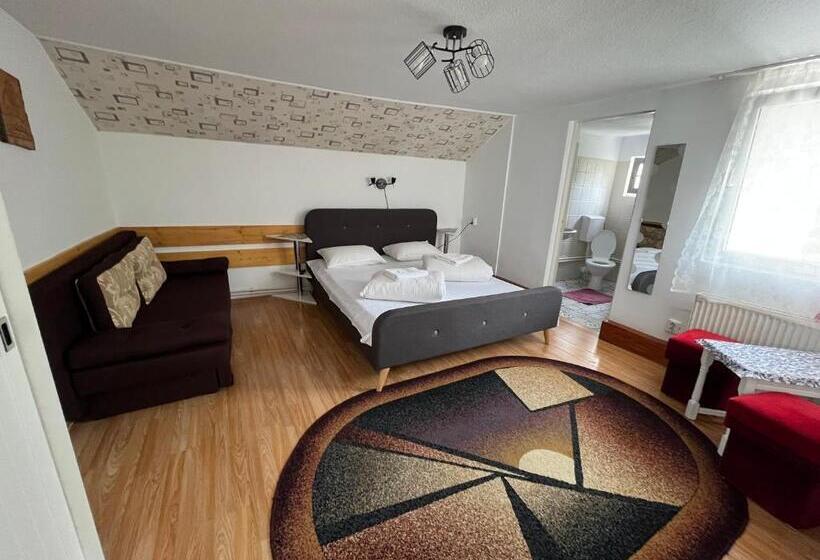 Pensão Casa De Oaspeti Anciupi Vendeghaz