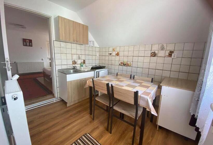 Pensão Casa De Oaspeti Anciupi Vendeghaz