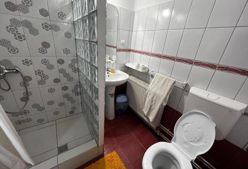 Pensão Casa De Oaspeti Anciupi Vendeghaz