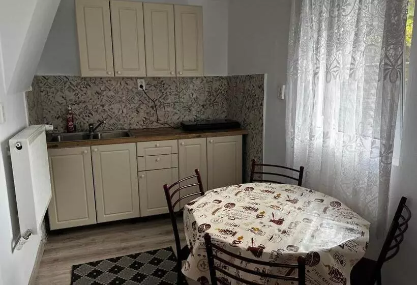 پانسیون Casa De Oaspeti Anciupi Vendeghaz