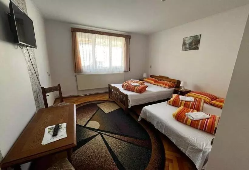پانسیون Casa De Oaspeti Anciupi Vendeghaz