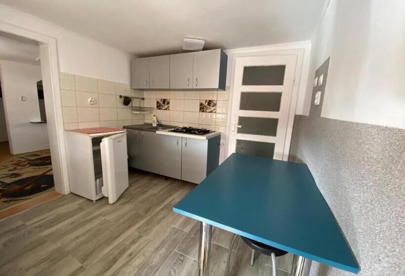 Pensão Casa De Oaspeti Anciupi Vendeghaz