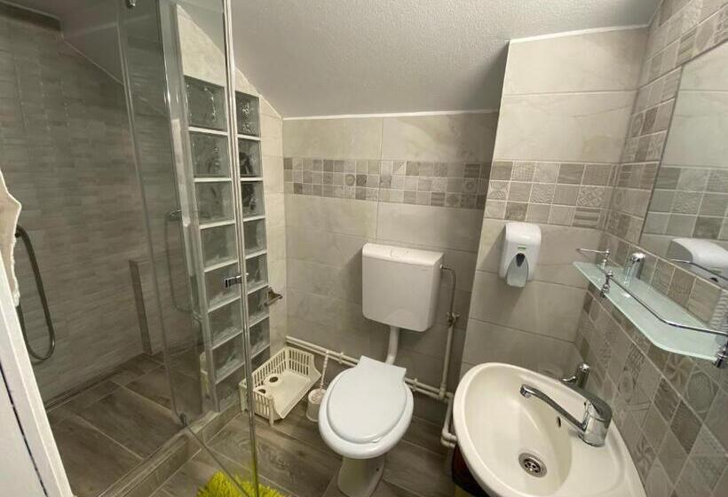 Pensão Casa De Oaspeti Anciupi Vendeghaz