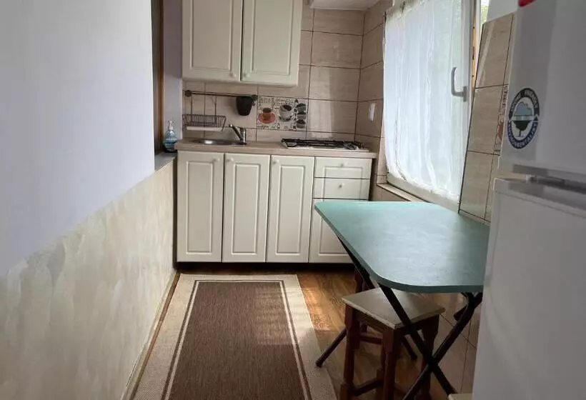 پانسیون Casa De Oaspeti Anciupi Vendeghaz
