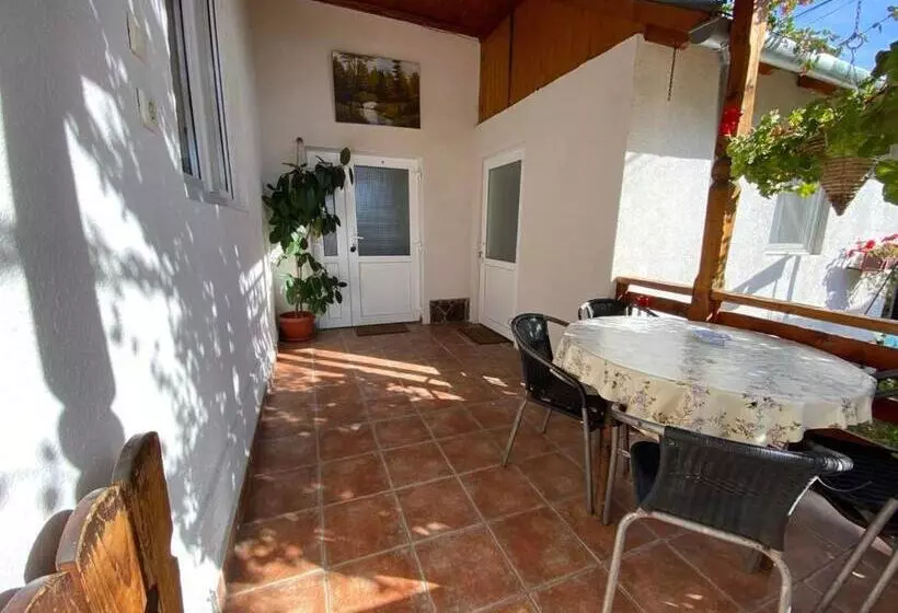 پانسیون Casa De Oaspeti Anciupi Vendeghaz