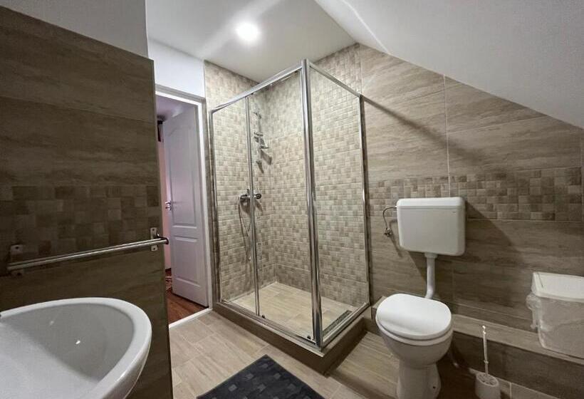 Pensão Casa De Oaspeti Anciupi Vendeghaz