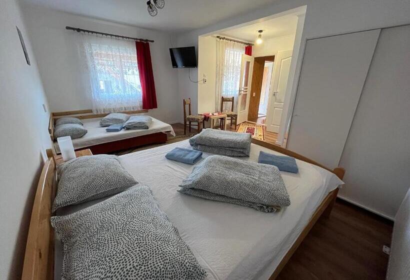 Pensão Casa De Oaspeti Anciupi Vendeghaz