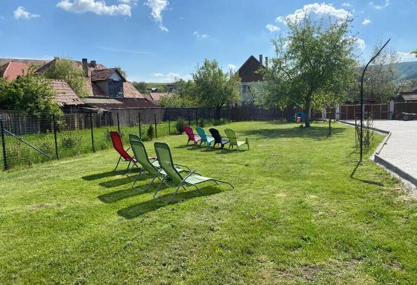 Pensão Casa De Oaspeti Anciupi Vendeghaz