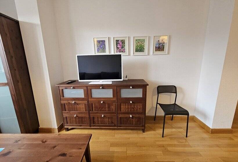 Apartamentos 3000 Formigal