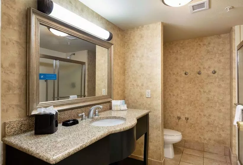 בית מלון כפרי Hampton Inn & Suites Baton Rouge I10 East