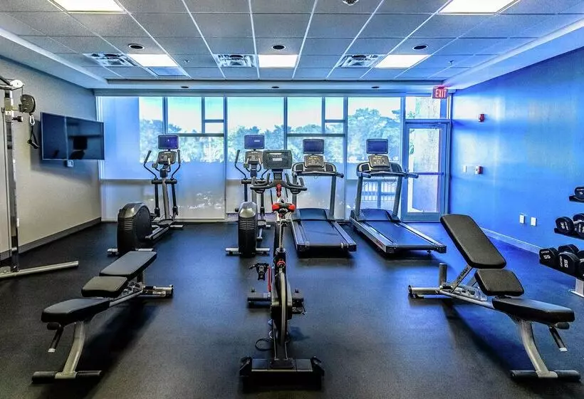 호텔 Hampton Inn & Suites Sarasota/bradenton Airport, Fl