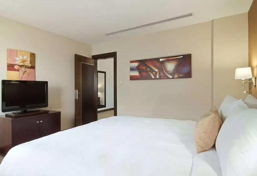 酒店 Hilton Garden Inn Riyadh Olaya