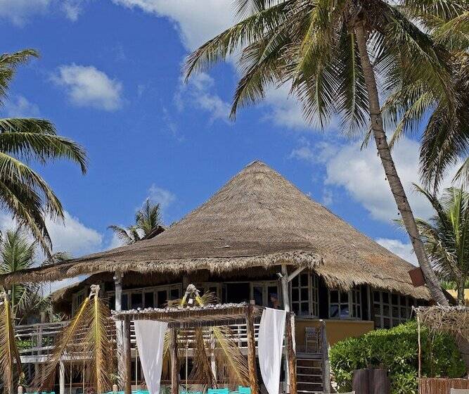 فندق Hip  Tulum