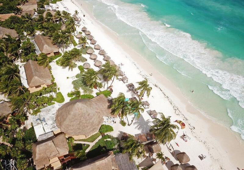 فندق Hip  Tulum