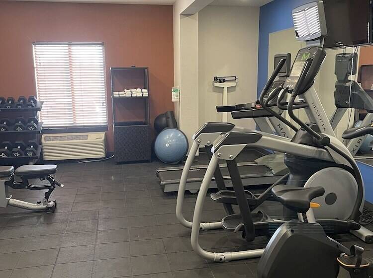 Hotel Holiday Inn Express Cedar Rapids Collins Road, An Ihg