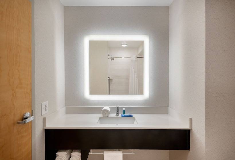 酒店 Holiday Inn Express Daphne Spanish Fort, An Ihg