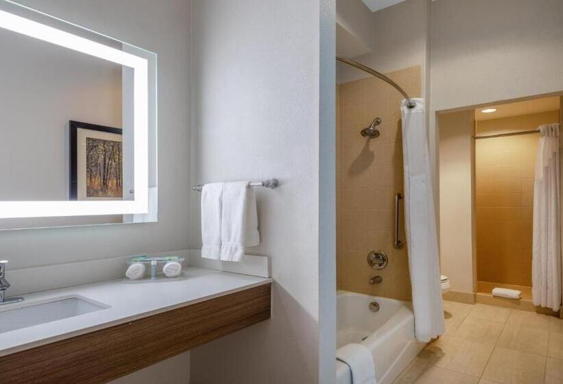 בית מלון כפרי Holiday Inn Express & Suites Dallas East   Fair Park, An Ihg