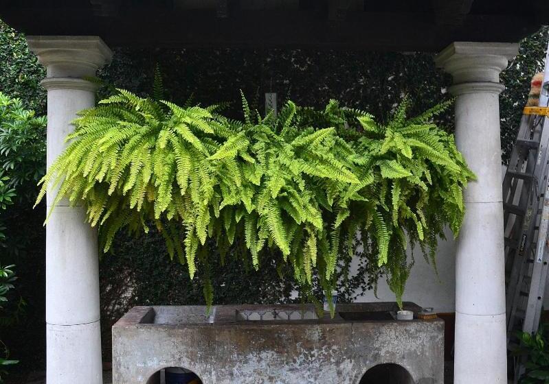 فندق Meson Del Alferez Coatepec