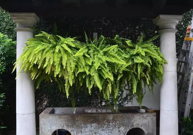 هتل Meson Del Alferez Coatepec