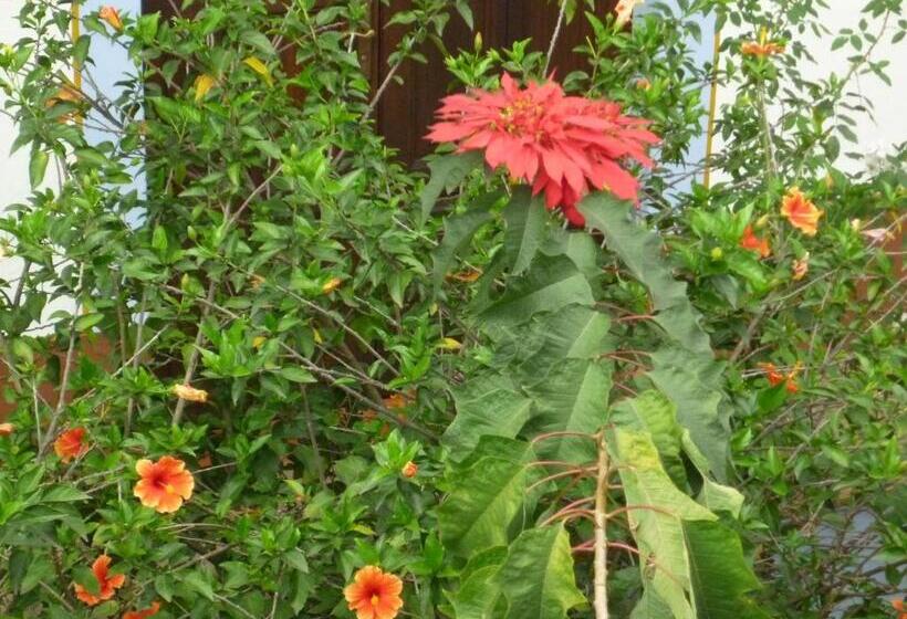 فندق Meson Del Alferez Coatepec