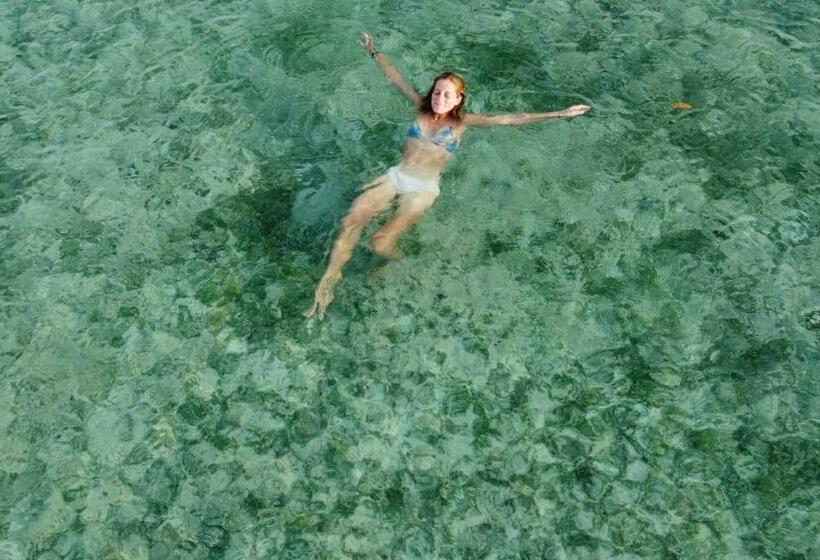 Santa Lova Eco Hostel Isla Tintipan