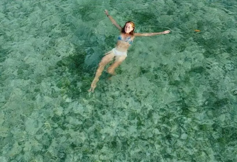 Santa Lova Eco Hostel Isla Tintipan