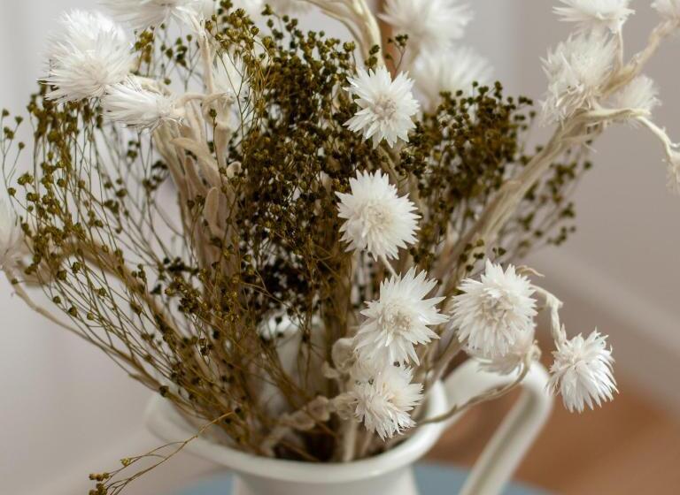 فندق Stilla Ristorante E Camere