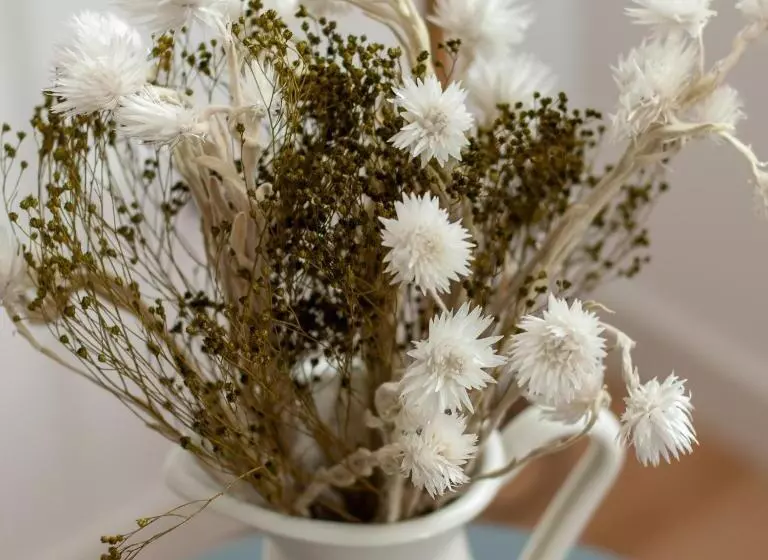 Hotelli Stilla Ristorante E Camere