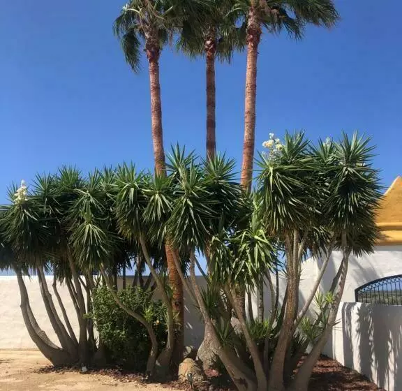 Lomakeskus Hacienda Soto Hego Haizea