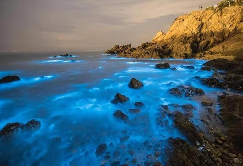 هاستل God’s Queen Esther