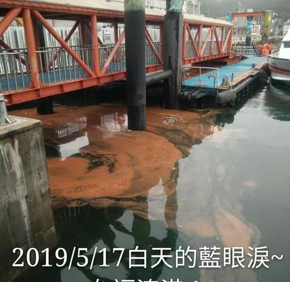 هاستل God’s Queen Esther